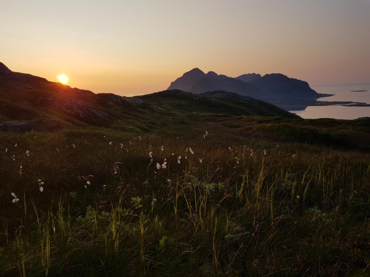Villa Walter Lofoten With Sauna Kvalnes  Dış mekan fotoğraf