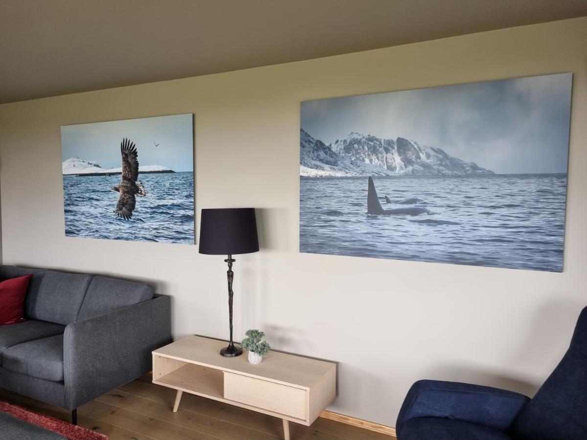Villa Walter Lofoten With Sauna Kvalnes  Dış mekan fotoğraf