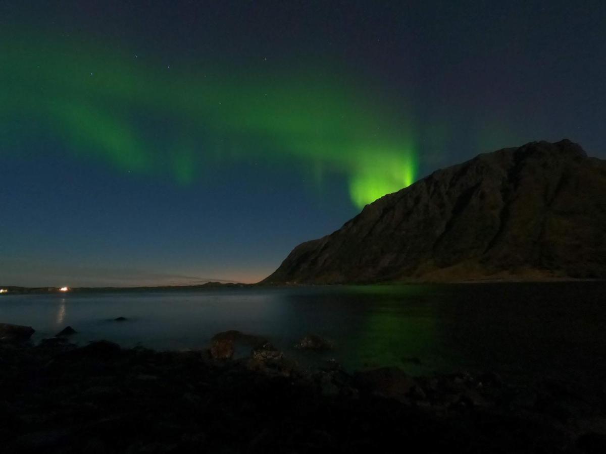 Villa Walter Lofoten With Sauna Kvalnes  Dış mekan fotoğraf