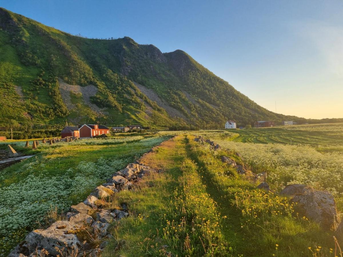 Villa Walter Lofoten With Sauna Kvalnes  Dış mekan fotoğraf