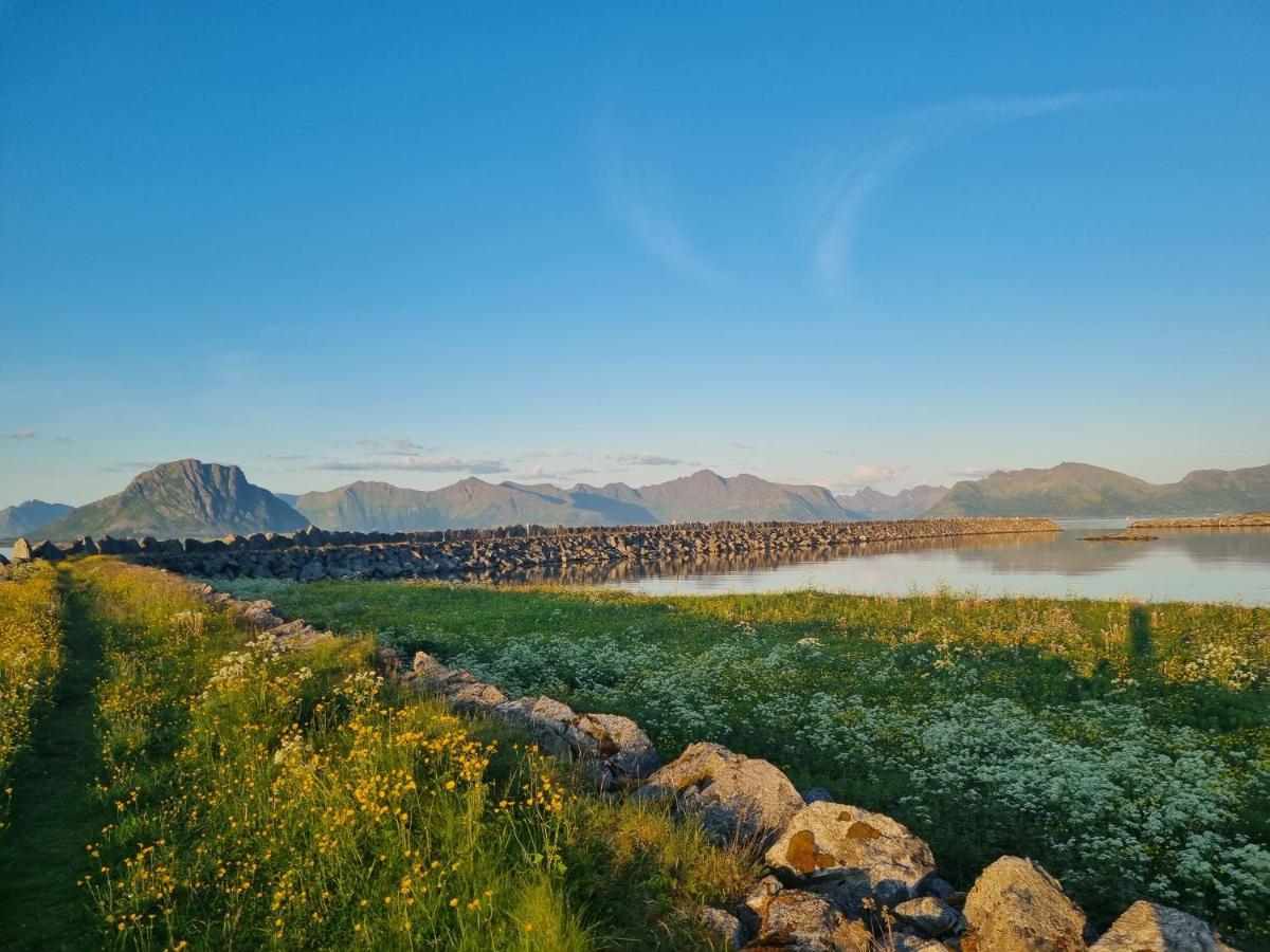 Villa Walter Lofoten With Sauna Kvalnes  Dış mekan fotoğraf