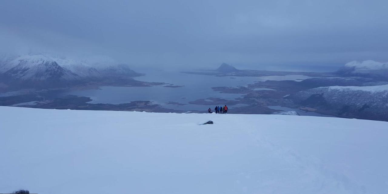 Villa Walter Lofoten With Sauna Kvalnes  Dış mekan fotoğraf