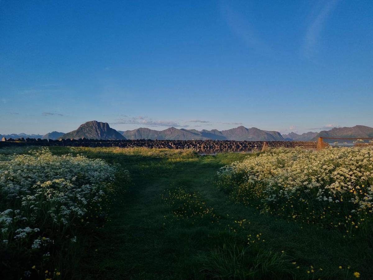Villa Walter Lofoten With Sauna Kvalnes  Dış mekan fotoğraf