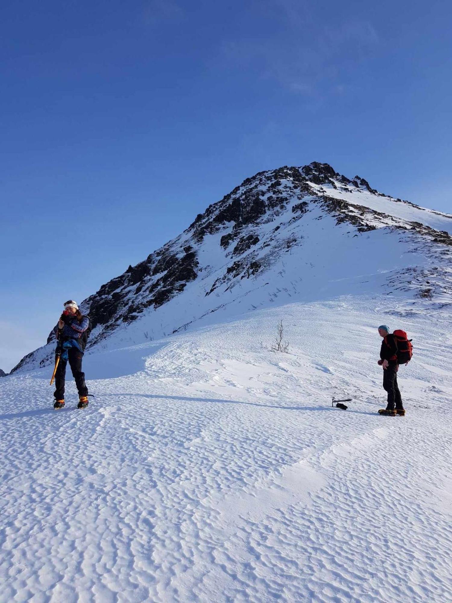 Villa Walter Lofoten With Sauna Kvalnes  Dış mekan fotoğraf